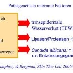 Windeldermatitis Faktoren