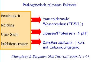 Windelsoor Windeldermatitis Intertrigo Ursachen